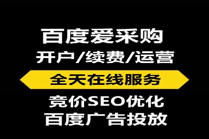 百度竞价赚钱的实战案例分析